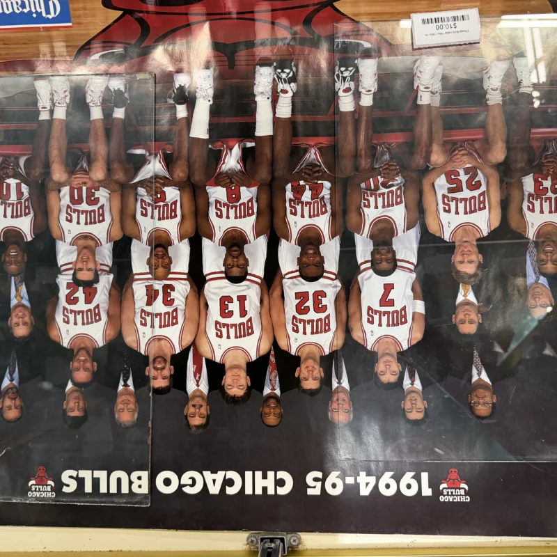 Chicago Bulls Poster 1994 - 1995 - Ph