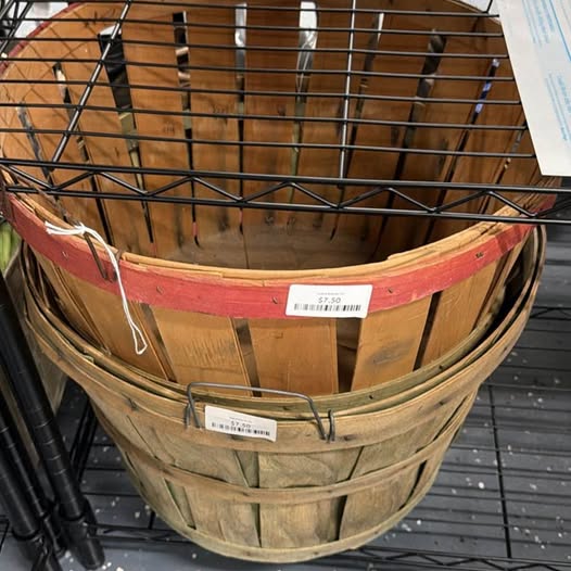 Apple Basket DK